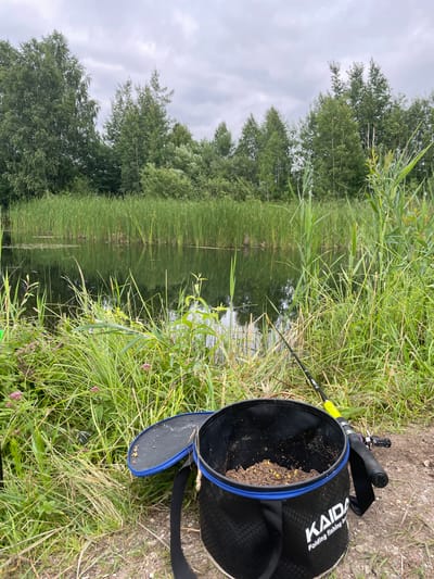 The image depicts a serene outdoor scene with a focus on fishing equipment set against a natural backdrop of a body of water and vegetation. In the foreground, a black folding fishing bucket with blue trim is prominently displayed. The bucket contains what appears to be fishing bait, a mixture of ground material and yellow pellets. Next to the bucket, a fishing rod with a yellow grip lies on the ground, angled towards the water. The immediate surroundings consist of lush green grass and various plants, including some with small pink flowers and tall reeds.
The middle ground is dominated by a calm body of water, likely a lake or river, densely bordered by thick reeds that rise from the water's edge. The surface of the water reflects the overcast sky and the surrounding greenery.
In the background, a line of trees forms a dense forest, with varied species of deciduous trees visible. The sky is cloudy, suggesting a potentially overcast or impending rainy day. The overall impression is one of a tranquil fishing spot. The specific location is in Дварышчанскі сельскі Савет, Belarus, a rural area characterized by its natural landscapes. No people are visible in the image.