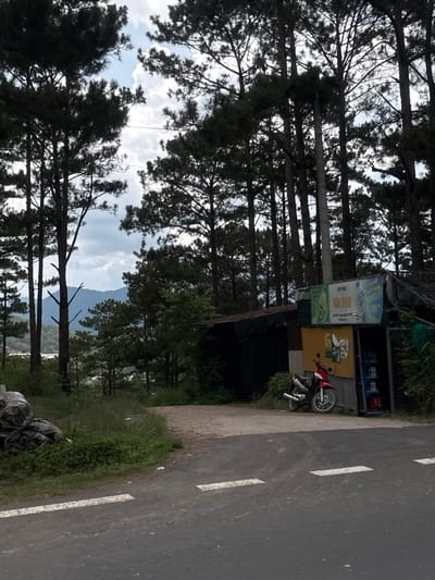 A red and silver motorcycle is parked in front of a makeshift structure in Thôn 6, Vietnam. The structure appears to be made of corrugated metal and tarps, with various signs displayed on its facade. To the left of the structure, a pile of black plastic-wrapped bundles sits on the ground next to lush green vegetation. The scene is set against a backdrop of tall pine trees and a cloudy sky, with distant hills visible through the trees. A paved road with white lane markings runs in the foreground.