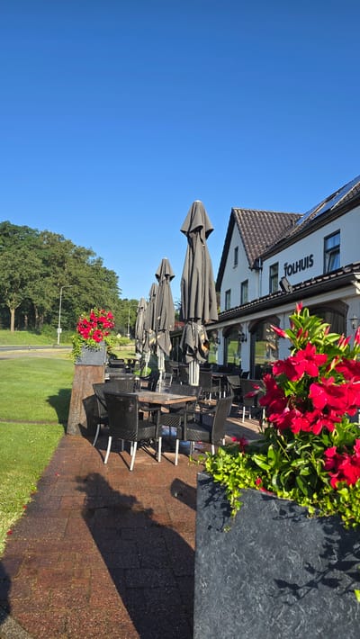 An outdoor patio area of the restaurant "TOLHUIS" in Zeddam, Netherlands, is captured under a clear blue sky on a sunny day. The patio features a row of large, folded gray umbrellas providing shade over several tables and chairs. The tables are covered with wicker placemats, and the chairs are black wicker with white legs. To the left, a large planter overflows with vibrant red flowers and green foliage, placed on a rough-hewn stone base. Adjacent to the patio is a well-maintained green lawn. A brick pathway leads across the foreground, displaying a long, distinct shadow cast from an unseen object. In the background, the white facade of the TOLHUIS restaurant is visible, with dark-trimmed windows and the restaurant's name clearly displayed. Further back, lush green trees line the landscape, and a road with a lamppost is discernible.
