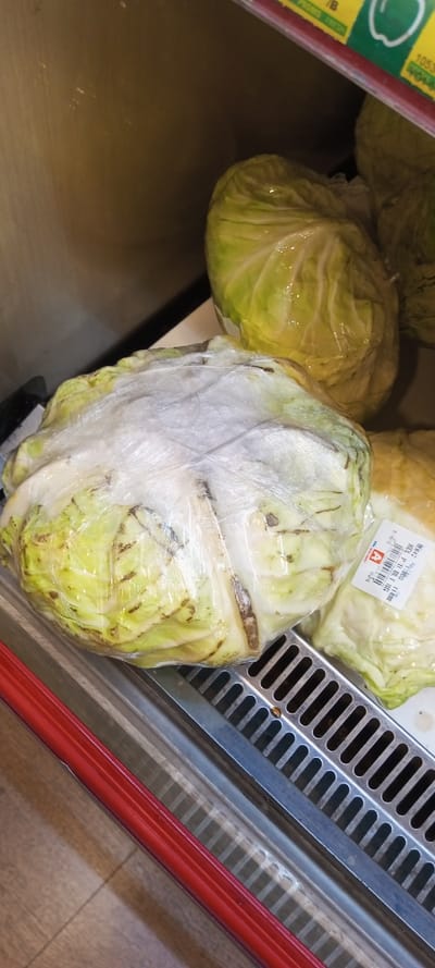 Cabbages wrapped in plastic sit on a metal rack with a red trim. The cabbages are light green with some discoloration. Moisture is visible on the plastic wrap. One cabbage has a pricing sticker. The background includes the interior of a display case. The scene is illuminated by the case's lighting. A brown surface is visible in the bottom left corner, appearing to be the store floor.