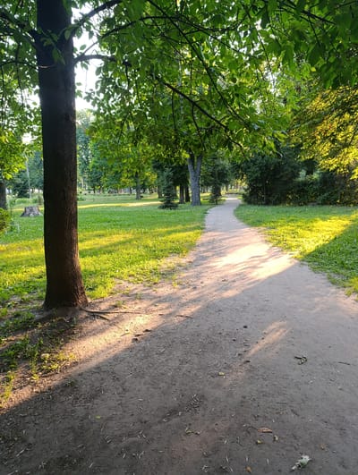 A sun-dappled pathway winds through a park in Fastiv, Ukraine. The path is made of dirt and gravel, with fallen leaves and twigs scattered across its surface. On either side of the path, lush green grass is illuminated by the warm, golden light of what appears to be late afternoon or early morning. Tall trees with dense green foliage create a canopy overhead, casting long, striped shadows across the path and grass.
In the foreground, the thick trunk of a large tree stands on the left, its roots visible at the base. The park extends into the background with more trees and open grassy areas, suggesting a well-maintained public space. The overall atmosphere is serene and peaceful, with the natural beauty of the park highlighted by the soft, warm lighting. The time of day is indicated by the long shadows, and the weather appears to be clear and pleasant, conducive to a walk in the park. There is no visible text in the image.