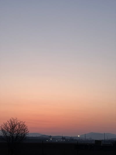 The image depicts a rural or semi-industrial landscape in Stolnik, Bulgaria, at dusk or dawn. The sky occupies the upper two-thirds of the frame, displaying a gradient from a pale purplish-blue at the top to a vibrant orange-pink at the horizon. In the lower left foreground, a bare deciduous tree is silhouetted against the sky. The immediate foreground consists of dark, uncultivated ground. The midground features a collection of silhouetted structures, including utility poles, power lines, and several distant buildings with illuminated bright yellow-white lights. On the far right midground, a small, dark, rectangular building or shed is visible. The background reveals a series of low, silhouetted hills or mountains under the fading light. No individuals or active movement are present.