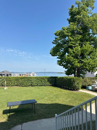 The image shows a backyard with a large green lawn, a black folding table, and a white railing on the right. In the background, there is a dense green hedge, a body of water with several boats docked at a marina, and buildings on the far side. A large tree with lush green leaves stands prominently on the right side of the image, with its branches extending into the clear blue sky. The scene is illuminated by bright sunlight, casting shadows on the lawn. The location is identified as Harbor Springs, United States of America.