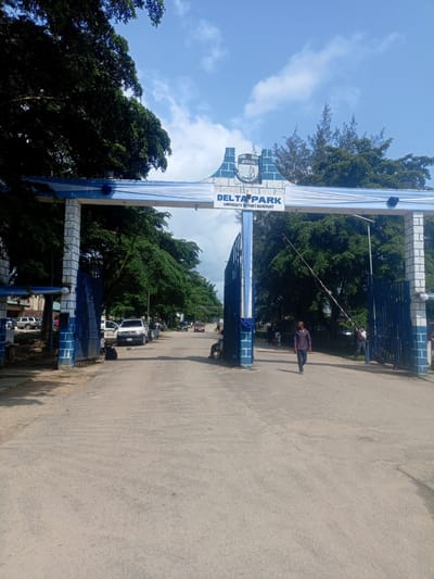 The image depicts the entrance gate to Delta Park at the University of Port Harcourt, located in Alakahia, Nigeria. The entrance is an archway painted in blue and white, adorned with white fabric draped across the top. The words "DELTA PARK" and "UNIVERSITY OF PORT HARCOURT" are visible on a white sign under the arch. On either side of the archway are blue metal gates, one of which is open. A man in a dark shirt and jeans is walking through the entrance, and another person in a red shirt is standing near the gate. Several vehicles, including SUVs and cars, are parked or driving on the road leading into the university. Lush green trees line the sides of the road, and the sky is blue with scattered clouds. The ground is paved with asphalt.