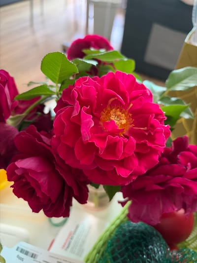 A close-up shot focuses on a bouquet of vibrant pink roses, with a prominent, fully bloomed rose in the center. The petals of the central rose are intricately layered and ruffled, revealing a cluster of yellow stamens at its core. To the left, a darker pink rose is partially visible, its petals also showing a rich, velvety texture. The bouquet is adorned with lush green leaves. In the background, the scene is softly blurred, suggesting an indoor setting with natural light illuminating wooden flooring. A dark object with a lighter square on it is visible, along with a portion of a glass bottle containing a yellowish liquid. At the bottom of the image, a green mesh bag and a red sphere are partially visible, along with a white object that appears to be packaging with some text. The overall impression is one of a domestic or artistic setting, potentially a home or a studio in Lublin, Poland.
