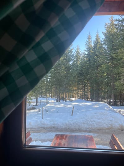 This image depicts an outdoor winter scene in Palež, Montenegro, viewed through a window frame made of dark wood. A green and white checkered curtain partially obscures the upper left portion of the view. Immediately outside the window, a rectangular wooden table and parts of two matching wooden benches are visible in the foreground, situated on ground covered with slushy snow and gravel. Beyond this, a snow-covered area features several wooden fence posts with wire strands. The background is dominated by a dense forest of tall coniferous trees under a clear, bright blue sky. Sunlight illuminates portions of the forest floor and tree trunks, casting long shadows. No individuals, animals, or specific actions are discernible.