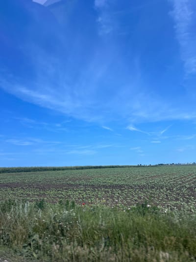 The image, when correctly oriented horizontally, presents a serene agricultural landscape under a vast blue sky. The upper two-thirds of the frame are dominated by a bright, clear blue sky, sparsely adorned with delicate, wispy white clouds that suggest fair weather conditions.
The lower third of the image is occupied by a large field planted with young crops. Small, vibrant green seedlings are visible in neat rows against the dark brown soil, indicating early growth. Along the right edge of the foreground, an area of taller, wilder green grass and weeds thrives, with scattered small white and yellow flowers adding texture. A single, distinct red flower, possibly a poppy, stands out brightly within this foreground vegetation.
In the far distance, along the horizon line separating the sky and the field, a faint line of buildings or trees can be observed, suggesting distant human activity or settlement. The bright illumination indicates it is daytime, likely late morning or early afternoon. There is no specific activity or event captured, and no visible text within the frame. The scene portrays a tranquil, expansive rural setting, with the provided context placing it in Kumanovo, Bulgaria.