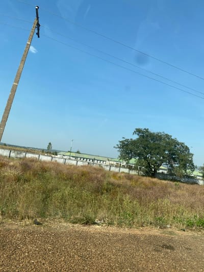 This image presents an outdoor scene in Zankan, Nigeria, under a clear, bright blue sky. The foreground consists of a brown, gravelly surface, transitioning into an expanse of dry, mixed vegetation dominated by tall, reddish-brown and green grasses. A light-colored concrete wall, featuring a dark capping, extends horizontally across the mid-ground, separating the vegetated area from structures beyond. Behind this wall, several single-story buildings with light-colored facades and green roofs are visible. A tall street light pole stands to the left of these buildings, also behind the wall. On the right, a large tree with dense green foliage partially obscures the buildings behind the wall. A concrete utility pole equipped with multiple insulators and several overhead power lines rises from the lower-left corner of the frame, extending upwards towards the sky. No individuals, explicit actions, or interactions are visible in the scene.