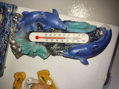 A thermometer depicting blue dolphins and turquoise seaweed is affixed to a white surface. The thermometer displays a temperature of approximately 20 degrees Celsius or 70 degrees Fahrenheit. The thermometer is part of a decorative item, likely a souvenir or a piece of kitsch, featuring a marine theme. The white surface appears to be part of a wall or a shelf in a domestic setting. The overall condition of the item suggests it is used and has some minor cosmetic wear. The photograph is taken in Voskobiinyky, Ukraine.