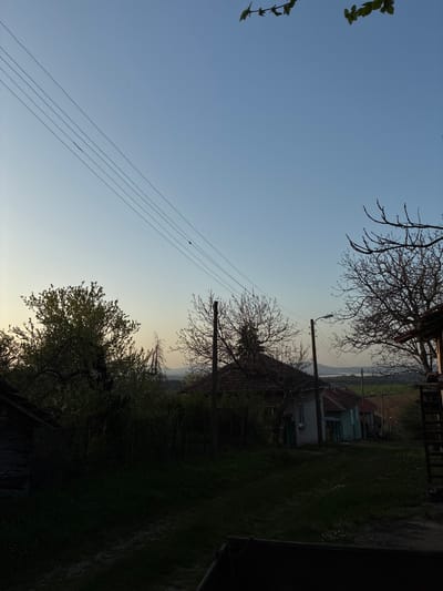 The image, taken during the golden hour of late afternoon or early evening, depicts a serene rural or semi-rural landscape. The sky transitions from a clear, deep blue overhead to a lighter, almost yellow hue near the horizon, suggesting a clear day with soft, warm light.
In the foreground, a vine or branch with fresh green leaves partially frames the left side of the image, while a heavily shadowed area, possibly a building or fence, and some green ground occupy the right.
The midground features several utility poles with electrical wires stretching across the frame, one pole equipped with a street light. A mix of trees, some with bare, intricate branches and others beginning to show new green leaves, are scattered throughout this section. Beyond the poles and trees, several houses with red-tiled or grey roofs are visible, nestled among greenery and what appears to be a dirt path or road.
The background reveals distant hills or mountains, softened by a light haze, contributing to the tranquil atmosphere. No people are visible, and there is no overt activity taking place. The scene conveys a peaceful, quiet moment in a natural setting. There is no visible text in the image. The location context of Bokilovtsi, Bulgaria, aligns with this pastoral view.