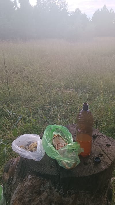 An outdoor scene captured at ground level shows two plastic bags of food and a plastic bottle of amber liquid placed on a wooden stump. The bag on the left is transparent and contains what appears to be dried pasta or noodles. The bag on the right is translucent green and holds a whole dried fish. Next to the green bag, a large brown plastic bottle contains an amber liquid and is uncapped, with its cap resting nearby on the stump. The stump is textured and appears weathered. Behind the stump, a field of tall, dry grass stretches into the distance, partially obscured by a dense fog. The fog softens the background, blurring the silhouettes of trees in the far distance. The overall lighting suggests early morning or late evening. The location is Gzhel'-1 Kp, Russia.