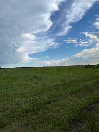 The image captures an expansive, flat outdoor landscape in Айдарлы, Kazakhstan, under a sky with significant cloud variability. The sky on the left side is dominated by a large, dense formation of light grey and white clouds, exhibiting complex structures and potentially mammatus features. This contrasts with the right side of the sky, which presents a bright blue expanse with scattered, thinner white cirrus and cumulus clouds. A clear, flat horizon line divides the sky from the land.
In the distant mid-ground, a faint, low-lying range of dark landforms, possibly hills or mountains, is visible, extending horizontally. Above the green field, a series of dark, slender vertical structures, consistent with power line towers or utility poles, stretches across the horizon. Sparse, dark green vegetation, appearing as bushes or small trees, is also present along this distant line.
The foreground and mid-ground are occupied by an extensive, flat field covered in dense, tall green grass, indicating an uncultivated area. Variations in the shade and texture of the grass are present. In the immediate foreground, particularly towards the bottom right, distinct dark impressions in the grass and soil are evident, consistent with tire tracks or well-worn paths. No people, animals, or explicit actions are visible within the scene.