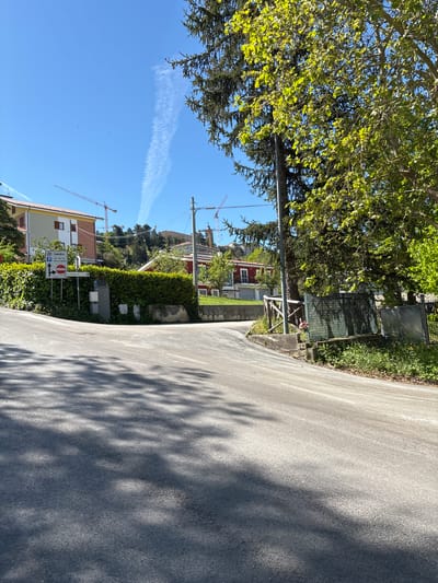 The image captures a sunlit street scene in what appears to be a residential area, likely in Camerino, Italy given the context. The photograph is oriented vertically, showing a bright blue sky at the bottom and a dense canopy of green leaves at the top. When viewed upright, a paved road stretches into the distance on the right, while a large, leafy tree dominates the left side of the frame, casting prominent dappled shadows across the road.

The weather is clear and sunny, indicated by the strong light and distinct shadows. A single, wispy contrail or cirrus cloud is visible in the otherwise pristine blue sky. In the midground, beyond the tree and a green hedge or fence, several buildings with light-colored walls and reddish-brown tiled roofs are visible. The presence of multiple large construction cranes in the distance suggests ongoing development or rebuilding activity in the area.

Notable details include utility boxes and an informational road sign positioned on the right side of the road. Visible text on the sign includes directional arrows and Italian place names:
*   An arrow pointing left with "Via Colfiorito".
*   Below it, another left arrow pointing to "Centro" and "marco l'aquila".
*   A "no entry" sign (red circle with white bar) is accompanied by a stop sign.
*   A "P" for parking sign with a right arrow.
*   Another sign below the parking sign, partially obscured but with an arrow pointing right.

The background features green, undulating hills, suggesting a hilly or mountainous landscape. There is no visible human activity or specific event taking place, but the construction cranes imply ongoing work. The overall impression is that of a bright, peaceful daytime scene in a town or village with signs of expansion.