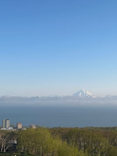 The image shows a panoramic view of a coastal city with a large snow-capped mountain in the background. In the foreground, there is a dense forest with trees in various stages of spring foliage. Beyond the forest, there is a body of water, likely the sea, with several buildings situated along the coast. The buildings appear to be apartment complexes, with one tall, grey building and two shorter, red-and-white buildings. The sea is a deep blue, and a layer of white clouds or mist partially obscures the distant mountains. The most prominent feature in the distance is a majestic, cone-shaped mountain covered in snow, with a clear blue sky above. The scene is well-lit, suggesting it was taken during daylight hours. The overall impression is one of natural beauty with a touch of urban development.
The location is identified as Krutoberegovy, Russia, which is a coastal settlement in Kamchatka Krai. The prominent snow-capped mountain in the background is likely one of the volcanoes in the region, such as Koryaksky or Avachinsky volcano, which are visible from Petropavlovsk-Kamchatsky, the administrative center of Kamchatka Krai, and Krutoberegovy is located nearby. The buildings along the coast are consistent with residential architecture found in coastal towns of this region. The lush green forest in the foreground indicates a temperate climate, likely during the warmer months of spring or early summer.