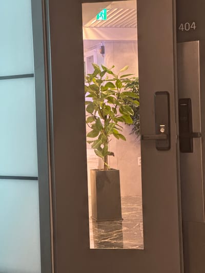 The image depicts an interior scene within a building hallway in Jongno-gu, South Korea. A dark gray door, positioned prominently, features a tall, vertical transparent panel. Through this panel, a segment of the hallway is visible: a large potted plant with abundant green foliage stands in a dark, rectangular planter on a dark, veined marble floor. The marble floor exhibits reflections of the plant. Above the plant, an illuminated green exit sign with a running figure symbol is visible on the ceiling. To the immediate right of the transparent panel, on the opaque section of the door, the white numerals "404" are prominently displayed, indicating a room number. Below these numerals, a black, modern digital door lock system with a handle is installed. No individuals are present in the scene.