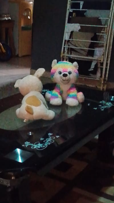 The image shows two stuffed animals on a black glass table. One is a white bunny with brown spots on its back, facing away from the viewer. The other is a rainbow-striped bear, facing forward. A metal drying rack with clothes on it stands against a wall in the background. A water dispenser and what appears to be the front tire of a child's tricycle are partially visible in the left background. The floor appears to be tiled. It is difficult to determine the specific location within Asubi, Nigeria based solely on this image.
