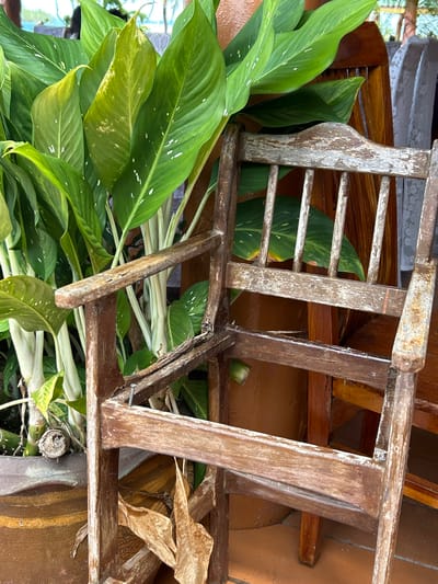 An old, weathered wooden chair sits outdoors, partially obscured by lush green foliage. The chair's paint is peeling, revealing the aged wood underneath, and some of its slats are broken. Behind the chair, a large potted plant with broad, variegated leaves is visible, its stems thick and pale. The background suggests an outdoor setting, possibly a patio or garden area, with hints of other wooden furniture and a patterned textile. The scene appears to be in Tambon Ko Panyi, Thailand, a location known for its stilted houses and floating structures.