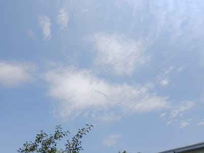 An outdoor, daytime shot captures a clear blue sky with wispy white clouds. In the lower left corner, the top branches of a green-leafed tree are visible, with some small green fruits. The branches extend slightly into the sky. The overall environment suggests a bright day with good visibility. The image was taken in Jizzakh, Uzbekistan.