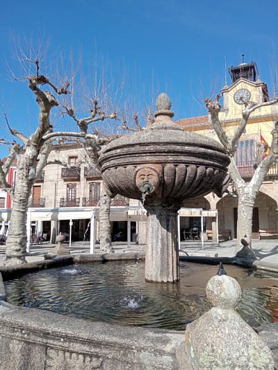 The image displays the Plaza de España in Piedrahíta, Spain, under a clear blue sky. A weathered, two-tiered stone fountain occupies the center foreground. The upper basin, adorned with fluted carvings and a carved facial effigy, spouts water from a metal pipe into the octagonal lower basin, creating ripples and small splashes. Several mature, bare, pollarded trees with mottled grey bark and gnarled branches frame the scene. In the background, to the right, is a prominent light yellow building, characteristic of a town hall, featuring arched ground-floor entrances, balconies with black wrought iron railings, and a central clock tower with a circular clock face and a dark metal belfry. Spanish flags are affixed to a balcony on this building. To the left, a multi-story stone building with balconies and red shutters stands adjacent to an area with white awnings covering outdoor seating and tables. The square's surface is paved. No individuals are distinctly visible. The scene is brightly lit by natural sunlight.