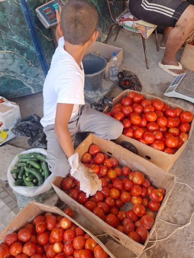 In Koʻkdala, Uzbekistan, a young boy wearing a white t-shirt and grey pants is seen from behind, standing next to a market stall. He is wearing a white glove on his left hand and appears to be interacting with a scale and produce. In front of him are two cardboard boxes filled with ripe red tomatoes. To his left, a white plastic bag contains a pile of green cucumbers. A black bucket is visible behind the boy. In the background, a person is seated on a chair, wearing black pants with white stripes and white flip-flops. The ground is concrete, and the scene suggests an outdoor market setting.