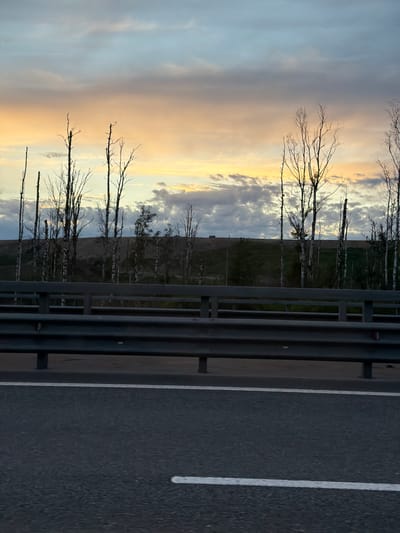 The image captures an outdoor scene from the perspective of a roadside, likely from a moving or stopped vehicle. In the foreground, an asphalt road occupies the right side of the frame, featuring a solid white line marking its edge and another white line further into the lane. A grey metal guardrail runs parallel to the road, extending horizontally across the mid-ground, separating the road from the adjacent landscape.

Beyond the guardrail, a natural environment unfolds. Numerous trees, many appearing bare or with very sparse foliage, stand in a line. Several of these trees are identifiable as birches, recognized by their characteristic white bark. Behind this line of trees, a dark, low hill or embankment rises.

The sky dominates the background, displaying a gradient of colors typical of either sunrise or sunset. Soft blues transition into warm yellows, oranges, and light greys, with scattered clouds reflecting these hues. The lighting suggests early morning or late evening. There are no visible people or discernible text in the image. The scene evokes a sense of travel through a natural, open landscape, consistent with the provided location context of Levashovo, Russia.