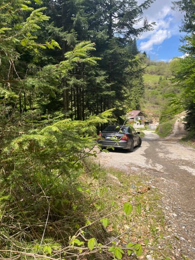 The image shows a dirt road near Drianovo, Bulgaria. A black car is parked on the road, partially obscured by trees and bushes. The surrounding environment consists of dense vegetation, including coniferous trees and various shrubs. In the distance, a building with a reddish-brown roof is visible. The sky is partly cloudy.