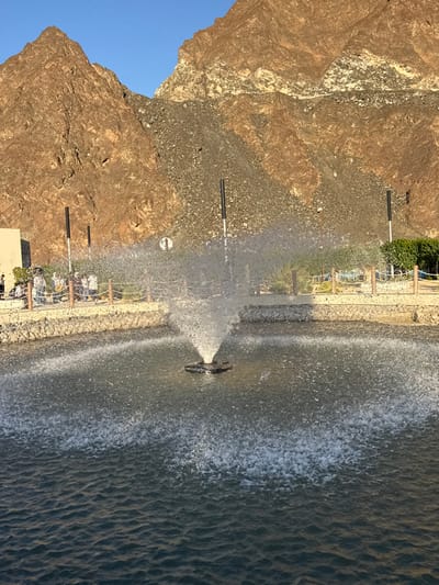 The image depicts an outdoor recreational area in Hatta, United Arab Emirates, featuring a large body of water with an active fountain, bordered by a pedestrian walkway, and set against a backdrop of rugged mountains under a clear blue sky.
In the foreground and midground, a dark-toned body of water, approximately rectangular or irregularly shaped, exhibits ripples on its surface. A black, circular, floating fountain device is centrally positioned in the water, forcefully projecting a conical spray of water upwards and outwards, creating visible droplets and surface agitation.
Beyond the water, a beige-colored stone retaining wall supports a paved or unpaved pedestrian pathway. A wooden railing with horizontal ropes runs along this pathway. Approximately 8-10 individuals, appearing to be adults and possibly children, are observed standing on the pathway to the left of the fountain, facing the water. To the far left, a section of a light-colored building is visible. Tall, slender, dark-colored poles, potentially light fixtures, are vertically positioned along the pathway and further back. A circular white sign with an indistinct dark symbol is located behind the fountain's spray. Green foliage and sparse vegetation are present along the path, particularly to the right. A wooden structure with ropes is partially visible in the far right background, partially obscured by vegetation.
The background is dominated by large, steep mountains composed of exposed rock, exhibiting shades of brown, reddish-brown, and grey scree slopes. The sky above is clear and bright blue. Sunlight appears to illuminate the scene, casting shadows and highlights on the mountainous terrain and the immediate environment.