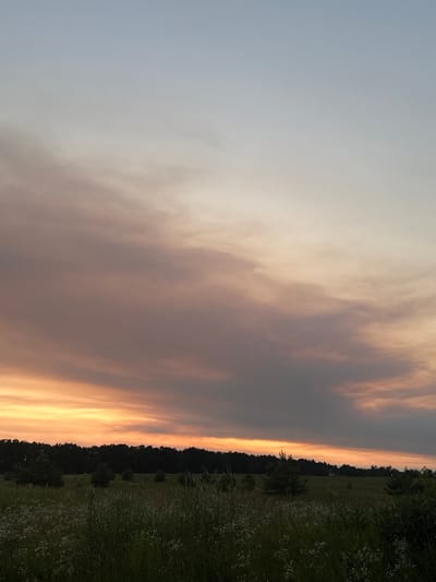 This is a vertical, outdoor, landscape photograph taken in Shpytky, Ukraine. The image depicts a dramatic sunset or sunrise, characterized by a sky filled with smoky, orange and grey clouds. The atmospheric conditions suggest hazy or possibly polluted air, which is intensifying the colors of the sky.

The foreground on the right side of the image is a field of tall green grass dotted with small white flowers, indicative of a meadow or rural area. A dense line of dark trees forms a distinct horizon separating the sky from the land. The trees are silhouetted against the bright sky, with a few scattered smaller trees visible within the field.

The lighting suggests either early morning or late evening, with the sun low on the horizon. The colors in the sky range from a pale blue on the left to intense oranges and yellows near the tree line, with a pervasive smoky grey overlaying much of the scene. There are no people or man-made objects clearly visible in the frame, emphasizing the natural setting. The overall mood conveyed by the image is one of natural beauty, albeit potentially tinged with an element of unease due to the smoky appearance of the sky. No text is visible in the image.