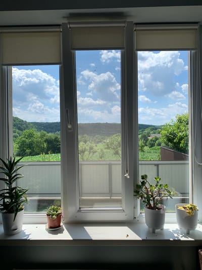 The image shows a view through a multi-pane window of a rural landscape in Zamostia, Ukraine, on a sunny day. The window is divided into three horizontal sections. The top section reveals a blue sky with fluffy white clouds and a distant view of green trees and a building. The middle section shows a screened window with a view of lush green trees and fields, and a bright sky. The bottom section displays a bright blue sky with dramatic white clouds and more green trees and fields.

On the windowsill, there are three potted plants. Two white planters with ribbed designs hold succulent plants, one with thick green leaves and the other with wilting yellow leaves. A small brown pot contains a plant with round, green leaves. The sun casts shadows on the windowsill, indicating it is daytime. The overall scene evokes a sense of tranquility and natural beauty. There is no visible text in the image.