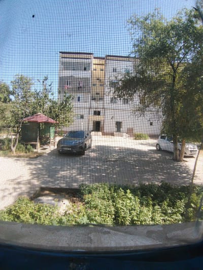 The image captures a view through a window screen, showing an outdoor scene in a residential area. A multi-story apartment building with a light-colored facade and some yellow accents dominates the background. In front of the building, a paved courtyard area is visible, with two cars parked. One is a dark-colored SUV parked in the center, and a white hatchback is parked to the right, partially obscured by a tree. There is a small, open-sided gazebo with a reddish-brown roof to the left of the SUV. Lush green bushes and trees are present throughout the scene, casting dappled shadows on the ground. The sky is clear and blue. The scene appears to be set in the city of Pitnak, Uzbekistan, given the context.