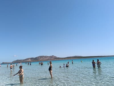 The image depicts a crowded beach scene on a sunny day at La Pelosa Beach in Stintino, Italy. The clear, shallow turquoise water is filled with numerous people wading and swimming. In the foreground, a woman in a striped bikini stands in the water, gesturing with her hands. Further back, other individuals are visible enjoying the water, including a pregnant woman in a black swimsuit. The beach itself is lined with a low, green vegetation strip, and in the distance, a hilly landscape with rocky outcrops forms the backdrop. The sky is a clear, bright blue.