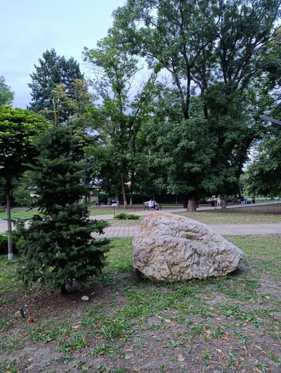 The image depicts a public park in the city of Kelermesskaya, Russia, under an overcast sky. In the foreground, a small, conical evergreen tree stands to the left, with a large, rough-textured boulder situated to its right. Beyond these natural elements, a paved pathway meanders through the park. Several individuals are visible in the mid-ground, seated on benches and walking along the path, suggesting a casual recreational atmosphere. The background is dominated by mature trees with dense green foliage, characteristic of a parkland setting. The overall scene conveys a tranquil, everyday moment in a well-maintained urban green space.