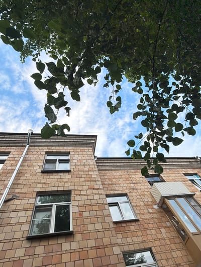 The image is an upward-facing shot of a building exterior with a tree branch in the foreground. The building appears to be multi-story, constructed with tan-colored brickwork arranged in a diagonal pattern. Several windows are visible on the building's facade. One window, at the top right, has a visible air conditioning unit attached below it. Another window, further down on the right, reflects trees. On the left side of the image, a large tree branch with dark green leaves extends into the frame, partially obscuring the sky. The sky is a mix of blue with scattered white clouds. A long, silver pole extends diagonally across the lower portion of the image, from the bottom left towards the center right, disappearing behind the building. The scene appears to be outdoors during the daytime, with no indication of specific weather conditions beyond a partly cloudy sky. The location is identified as Vostochny District, Russia. There is no visible text in the image. The perspective suggests the photographer is looking up from a low angle, possibly from the ground or a lower floor.