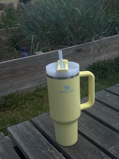 A pale yellow Stanley tumbler with a straw and handle sits on a weathered wooden picnic table. The tumbler is positioned on the right side of the frame, and its lid is white with a yellow straw. A faint Stanley logo is visible on the tumbler's body. The table appears to be outdoors, as suggested by the presence of green grass and foliage in the background, as well as a wooden fence. The overall lighting indicates it is daytime, possibly overcast. The background also shows some distant greenery and a blurred, possibly blue, object. The picnic table is constructed from dark, weathered wooden planks. The location is identified as being in San Lorenzo De Tormes, Spain, though no specific landmarks are identifiable in the image to confirm this. There are no people present in the image.
