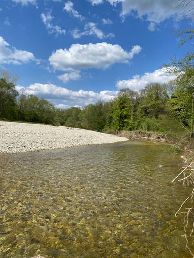 This image captures a serene natural landscape under a bright, partly cloudy sky. The foreground features a clear, shallow river or stream flowing diagonally from the bottom left. The riverbed is distinctly visible through the transparent water, revealing numerous light-colored pebbles and stones.
A wide bank of dry, light-grey to white gravel and pebbles separates the water from the vegetation on the right side of the frame. Beyond this gravel bank, a dense line of trees and bushes with various shades of green foliage extends horizontally across the middle ground. The trees appear to be deciduous, possibly in spring or early summer, with some showing newly emerged leaves.
The upper portion of the image is dominated by a vibrant blue sky dotted with scattered white, fluffy cumulus clouds, indicating fair weather. The bright sunlight suggests a clear day, likely in the morning or early afternoon. A few thin, dried branches are visible in the immediate bottom left foreground, partially extending into the water. There is no visible human activity, animals, or text within the scene, emphasizing its natural and tranquil state.