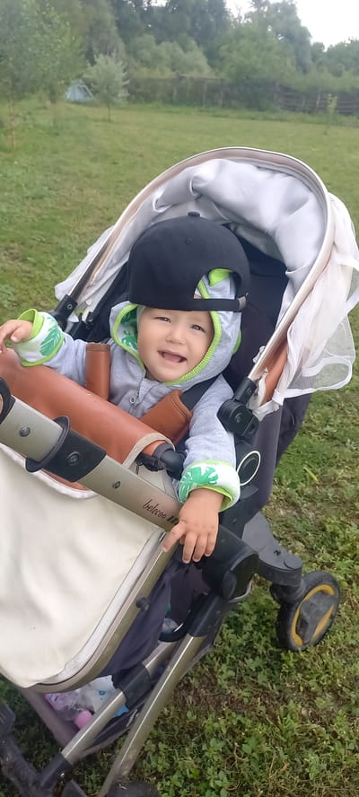 An infant sits in a stroller outdoors on a grassy area. The infant wears a gray hooded jacket with green trim and a black baseball cap. The stroller has a brown leather handle and a beige canopy. In the background, trees and a fence are visible, with a tent in the distance. The scene appears to be a park or backyard.