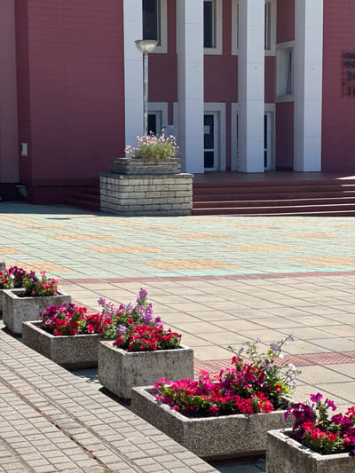 This is a daylight, eye-level, medium shot photograph of a paved plaza in front of a building. In the foreground, several concrete planters filled with vibrant pink, red, and purple flowers are arranged diagonally across the frame. The plaza pavement is made of square tiles in alternating green and tan colors. Behind the planters, a set of reddish-brown stairs leads up to the building's entrance. The building itself has a pink facade and is characterized by tall, white, rectangular columns framing doorways and windows. A single lamppost stands to the left of the entrance. In the distance, on the building's facade, there is signage that appears to be in Cyrillic script. The photograph captures an outdoor public space, likely in Shabla, Bulgaria, characterized by floral arrangements and architectural features. There are no people visible in the image.
