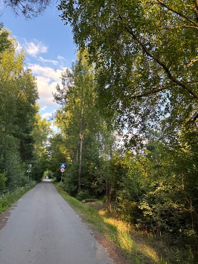 The media file captures a scenic view of a tree-lined path, likely a road or a bicycle lane, in what appears to be a rural or park setting. The path itself is paved and curves gently into the distance, flanked by dense green foliage on either side. Sunlight filters through the leaves, casting dappled shadows on the path and the surrounding vegetation, suggesting it is either morning or late afternoon.

The trees form a canopy overhead, with their leaves creating a lush, green tunnel effect. The sky visible through the leaves is a clear blue, punctuated by a few wispy white clouds. There are two road signs visible: one is a blue triangular sign with white arrows pointing upwards and downwards, possibly indicating a warning or a special route. The other sign is round and red with a white border, featuring the number "20" in black, which likely signifies a speed limit of 20 units (kilometers per hour or miles per hour).

There are no people visible in the image, and the overall mood is peaceful and serene, evoking a sense of quiet nature. The context provided indicates the location as Shevlagino, Russia, which aligns with the imagery of a verdant, possibly forested or park-like environment. The scene is tranquil and invites exploration or a leisurely stroll.