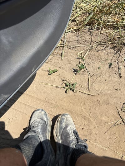 The image captures a ground-level perspective of a person's feet wearing dark, dusty athletic shoes, standing on dry, sandy soil. To the left, a portion of a grey, textured surface, likely the interior of a vehicle, is visible. The ground is scattered with dry stalks of grain and a few small green plants. The scene suggests an outdoor environment, possibly a field or roadside, on a sunny day, given the presence of strong shadows. The location is identified as Opatów, Poland, though there are no specific landmarks within the image to confirm this.