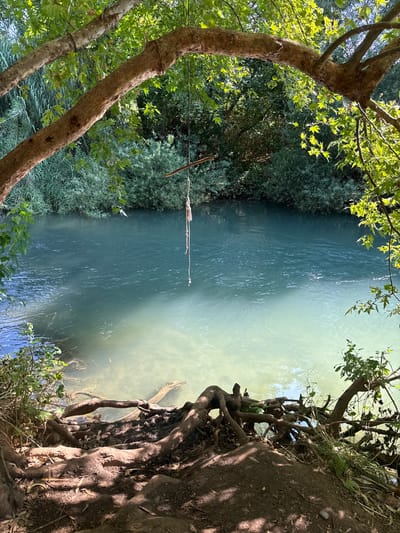 The image shows a tranquil river scene with lush green foliage and exposed tree roots in the foreground. A rope swing hangs from a tree branch, adding a playful element to the natural setting. The river's water is clear and blue, with sunlight dappling its surface. In the background, dense vegetation lines the riverbank, creating a sense of seclusion. The location is identified as the city of Mevoot HaHermon Regional Council, Israel. There are no people visible in the image.