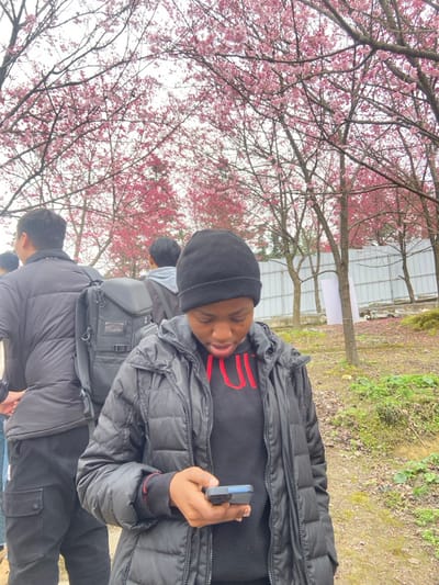 A person in a black winter coat and beanie looks at their phone in an outdoor setting. Cherry blossom trees with pink flowers are in the background, indicating it may be springtime. Other people are also present. A silvery building is visible farther behind the trees. The ground appears to be a mix of dirt and vegetation.