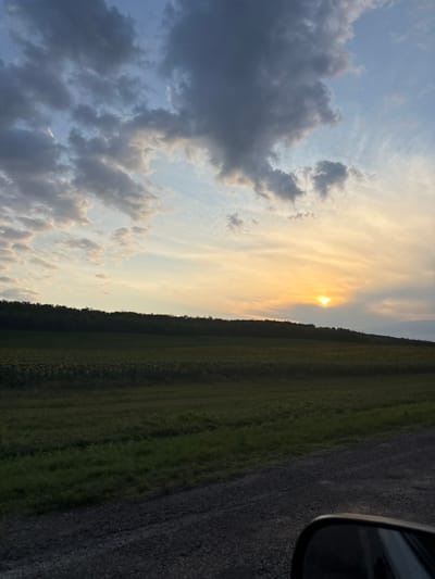 This is a photograph taken in Carabetovca, Moldova, depicting a rural landscape at sunset. The sky is filled with dramatic clouds, ranging from dark gray to light blue, with the setting sun peeking through on the right side, casting a warm glow. Below the sky, a dark line of trees forms the horizon, behind which a field of sunflowers is visible, with the individual flower heads discernible. In the foreground, a grassy field transitions to a gravel road on the right, where a portion of a car's side mirror is visible, suggesting the photo was taken from a vehicle. The overall impression is one of a serene, natural setting during twilight.