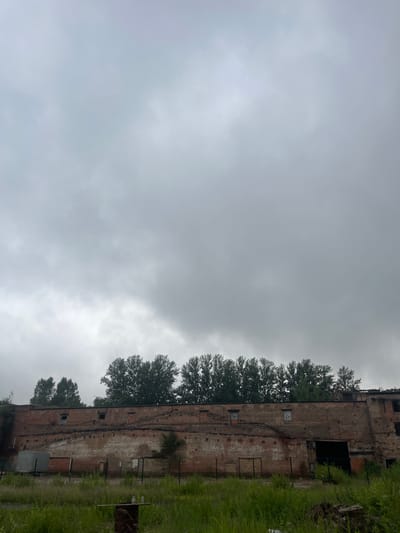 The media file shows an old, weathered brick building with several windows. Trees with lush green foliage grow alongside the building, and tall green grass covers the ground. The sky is overcast and gray, suggesting a cloudy or possibly rainy day. A rusty barrel and some other metal objects are visible near the building. The building appears to be abandoned or in disrepair, with visible cracks and missing sections of brickwork. The overall scene conveys a sense of decay and neglect, with nature reclaiming the structure. The photo is taken from a slightly low angle, emphasizing the height of the building and the density of the trees. The lighting is dim and diffused due to the cloudy sky, contributing to a somber atmosphere. There is no visible text in the image. The scene could be interpreted as a rural or industrial setting where structures have been left to fall into ruin.