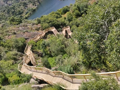The image shows a set of wooden walkways and stairs in Alijó, Portugal. The structure zigzags down a steep, rocky, and forested hillside toward a body of water in the background. The walkways have wooden railings, and the stairs feature landings. The surrounding environment is lush with green vegetation, including trees, shrubs, and grasses. The body of water appears dark and calm, with tree-lined banks. The image is taken from an elevated perspective, looking down on the walkways.