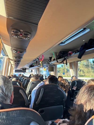 The image displays the interior of a passenger bus in Ladispoli, Italy, viewed from the rear of the cabin looking forward. The bus is occupied by numerous passengers, primarily adults, seated in dark gray, patterned seats, with their backs and heads visible. The overhead ceiling features tan-colored panels with integrated dark gray air vents and individual reading lights. Overhead storage racks are present above the windows, holding various items including a black backpack. A light blue foil balloon, shaped like the animated character Bluey, is suspended from an overhead rack by a pink and yellow strap. Through the windows, a sunny outdoor environment is visible, including green trees, blue sky, and a blue and white road sign, indicating the bus is in motion.