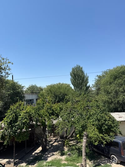 The image shows an outdoor scene with a clear blue sky. In the foreground, there are trees with lush green foliage. A dark-colored van is partially visible on the right side of the image, parked near a building with a white, corrugated roof. Further back, there are more trees and what appears to be a building with windows, possibly an older structure. A power line stretches across the upper part of the scene. The overall impression is of a rural or suburban setting in a warm climate, likely in the city of Talas, Kyrgyzstan. There are no people or animals visible in the image, and no specific actions or interactions are depicted. The environment appears to be somewhat overgrown, with shadows cast by the trees suggesting it is daytime.