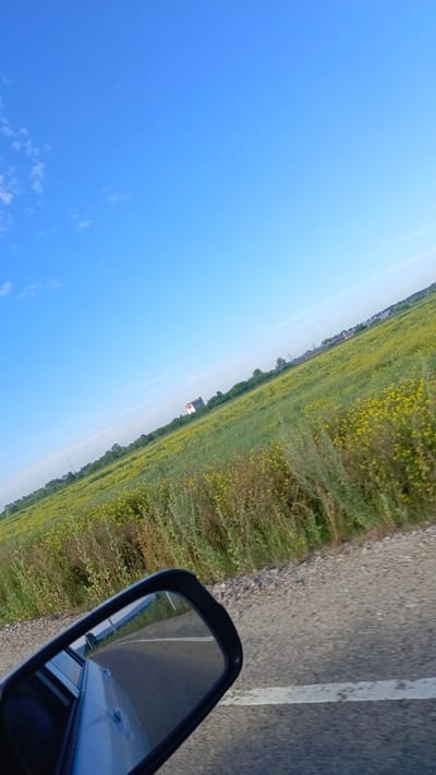 An outdoor, eye-level, medium shot captures a bright, clear blue sky with scattered wispy clouds above a tilted, vast field of green and yellow wildflowers. The field is positioned diagonally across the frame, leading towards a distant treeline and a few scattered houses. In the foreground, the reflection of a white car and the sky is visible in the side-view mirror of a vehicle. The car appears to be traveling on a gray asphalt road with a white line marking the lane. The overall impression is one of a sunny day in a rural or semi-rural setting, possibly on the outskirts of a town like Zuy, Russia, given the presence of houses and the open field.