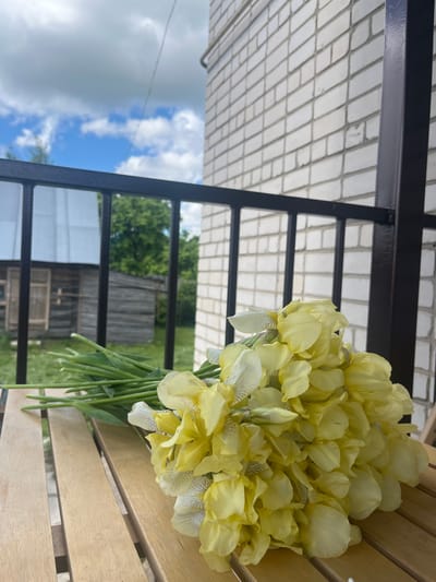 A vibrant outdoor scene captures a large, fresh bouquet of light yellow irises resting on a slatted wooden surface, likely a table or bench. The irises feature distinctive white lower petals with intricate greyish-purple vein-like markings.
The flowers are positioned on the right side of the frame (when viewed correctly, as the image is presented rotated 90 degrees counter-clockwise). A dark metal railing with a grid pattern diagonally bisects the midground, separating the immediate area from the background. Above the railing, a white tiled ceiling or the underside of a roof structure is visible.
Through the gaps in the railing, a lush green landscape unfolds, showcasing dense trees and foliage. A rustic wooden building or shed is partially visible amongst the greenery. The sky above is a bright, clear blue with scattered white, fluffy clouds, indicating a sunny day. No people or text are visible. The setting suggests a peaceful rural or semi-rural environment, possibly a porch or balcony, consistent with the location context of Новая Тура, Russia.