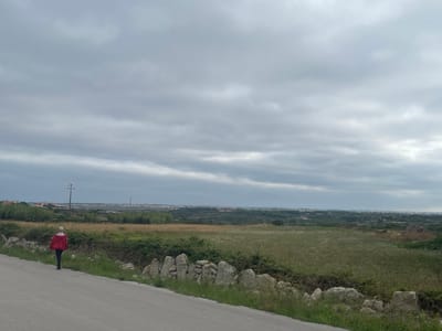 The image depicts a rural landscape with a person walking on an asphalt road. The person, viewed from behind, is wearing a red jacket and black pants. The road curves to the left, bordered by a low stone wall and overgrown vegetation. Beyond the wall, a field of tall grass stretches towards a treeline and distant buildings. The sky is overcast with thick grey clouds. In the background, electrical poles and wires are visible, along with a scattering of houses and dense greenery suggesting a town or village. The scene appears to be located in the municipality of São João das Lampas, Portugal, given the characteristic dry, Mediterranean vegetation and rural architecture.