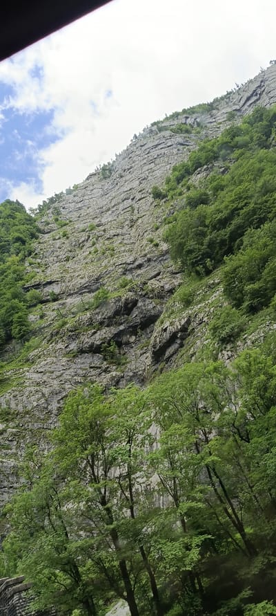 The image depicts a steep, rocky cliff face overgrown with lush green trees and vegetation. The cliff exhibits distinct horizontal striations, suggesting layers of rock. Patches of light green moss and smaller plants are visible clinging to the rock surface. The sky above is partly cloudy with patches of blue sky. In the foreground and on the lower slopes, the dense canopy of trees obscures the ground. A narrow, paved path or road is partially visible at the very bottom left, constructed with stone blocks. The overall scene conveys a sense of natural grandeur and the ruggedness of the mountain landscape. This vista is characteristic of the region surrounding Golling an der Salzach, Austria, known for its dramatic geological formations and abundant forests. There are no people or discernible actions taking place in the image.